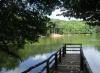 Visita La Foresta Umbra, Parco Nazionale del Gargano