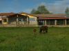 Agriturismo in Campagna con piscina : I Cavalli