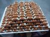 dolci a buffet Villaggio 3 stelle Rodi-Garganico