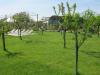 Frutteto Parco Eventi ad Assisi