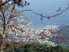 Hotel per gruppi e gite a Rapallo