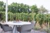 Tavolo esterno vigneto appartamento-vacanza moderno Lipari