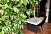 Siepe in giardino B&B ad Arezzo