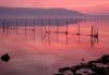 Visita l´Isola di Varano e Carpino, Foggia