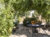 Trulli con giardino Puglia appartamenti