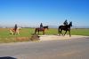 passeggiate a cavallo esterne per assisi