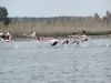 Visitare la toscana e Orbetello