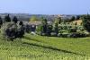 agrturismo casale pietra belvedere Jesi Marche	