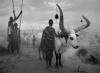 Ca 250 immagni del fotografo brasialiano Sebastiao Salgado