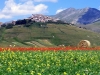 Castelluccio visto dalla piana della Fioritura
