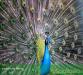 parco divertimenti in umbria con animali