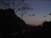 ufo-verita'