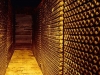 Omaggio delle Migliori Cantine dell'Umbria