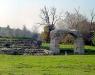 Archeologia a Cupra Marittima, Vacanza nelle Marche