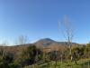 Parco Nazionale del Vesuvio 
