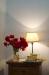 splendido appartamanto da 2/8 persone con biancheria
