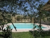 Splendido giardino con piscina estiva