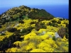 Capraia Island, Hotels and agritourisms -prices