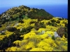 Isola di capraia prezzi hotel e agriturismo