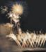 Fireworks and shows in Lido di Savio