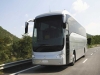 noleggio autobus