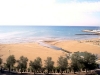 hotel a nettuno