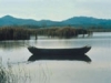 Pesca al Lago Trasimeno