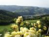 Agriturismo Umbria Vacanza in Famiglia