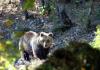 Pernottare Vicino al Parco Nazionale della Majella