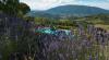 Piscina e idromassaggio esterno immersi nel verde