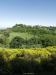 Holiday Rentals in The Region Le Marche