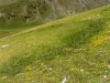 Uomo e Natura verso il Divino