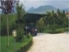 progettazione giardini