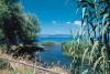 Camere ed apartamenti in Affitto a Bolsena