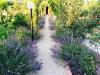 Lavandeto fiorito, giardino per party in Umbria