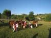 Passeggiate a cavallo nel verde Umbria