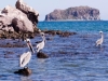 Alberghi ed Hotel vicino Mare di Loreto