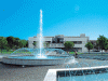 hotel vicino terme di bibione