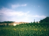 Agriturismo immerso nel verde Last Minute