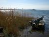 Pesca e Rilassamento al Lago di Bolsena