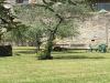 Giardino esterno con Alberi, Siepi e cespugli