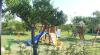 Parco Giochi per i bambini