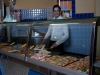 Pizzeria al taglio e da asporto Bevagna Cannara
