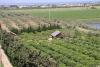 Gampling in Agriturismo Sicilia, immerso nel  verde