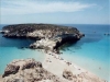 Lampedusa, isola dei conigli