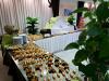 Buffeti di antipasti durante evento