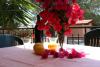 Appartamenti in Resort nel Cilento con terrazzo