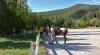 lezioni di equitazione e passeggiate a cavallo 
