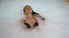 Hotel con Spa a Milano e Vasca Idromassaggio