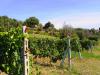 Agriturismo con Tenuta agricola e prodotti tipici Umbria